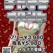 ヒメ日記 2025/04/12 22:32 投稿 りか パイの巣