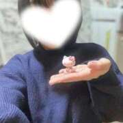 ヒメ日記 2026/03/08 22:16 投稿 まゆ 快楽玉乱堂