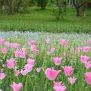 ヒメ日記 2026/04/30 21:56 投稿 まゆ 快楽玉乱堂