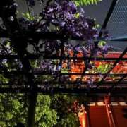 ヒメ日記 2025/04/24 08:15 投稿 ひなた スイカ