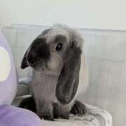 ヒメ日記 2025/11/19 17:10 投稿 もも☆即即高級サービス ROYAL CLUB姫