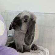 ヒメ日記 2025/11/19 17:16 投稿 もも☆即即高級サービス ROYAL CLUB姫