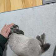 ヒメ日記 2025/12/22 17:46 投稿 もも☆即即高級サービス ROYAL CLUB姫