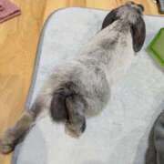 ヒメ日記 2026/01/02 19:32 投稿 もも☆即即高級サービス ROYAL CLUB姫