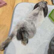 ヒメ日記 2026/01/02 19:36 投稿 もも☆即即高級サービス ROYAL CLUB姫