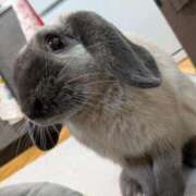 ヒメ日記 2026/02/08 09:48 投稿 もも☆即即高級サービス ROYAL CLUB姫