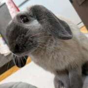 ヒメ日記 2026/02/08 10:06 投稿 もも☆即即高級サービス ROYAL CLUB姫