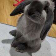 ヒメ日記 2026/02/10 11:55 投稿 もも☆即即高級サービス ROYAL CLUB姫