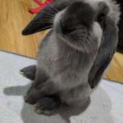 ヒメ日記 2026/02/10 12:06 投稿 もも☆即即高級サービス ROYAL CLUB姫