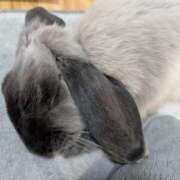 ヒメ日記 2026/04/13 08:18 投稿 もも☆即即高級サービス ROYAL CLUB姫