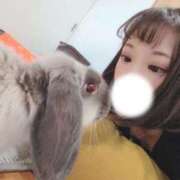 ヒメ日記 2026/06/02 10:33 投稿 もも☆即即高級サービス ROYAL CLUB姫