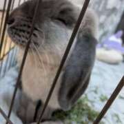ヒメ日記 2026/09/13 08:17 投稿 もも☆即即高級サービス ROYAL CLUB姫