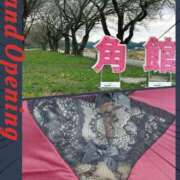 ヒメ日記 2025/04/18 08:51 投稿 むつみ(横手) 奥さんの香り