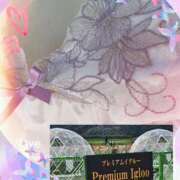 ヒメ日記 2025/04/20 20:21 投稿 むつみ(横手) 奥さんの香り