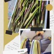 ヒメ日記 2025/05/28 08:51 投稿 むつみ(横手) 奥さんの香り