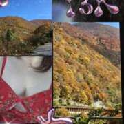 ヒメ日記 2025/11/07 09:11 投稿 むつみ(横手) 奥さんの香り