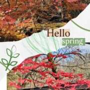 ヒメ日記 2025/11/24 08:51 投稿 むつみ(横手) 奥さんの香り