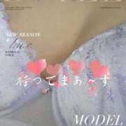 ヒメ日記 2025/11/26 09:01 投稿 むつみ(横手) 奥さんの香り