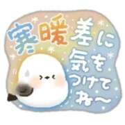 ヒメ日記 2026/03/08 14:51 投稿 むつみ(横手) 奥さんの香り