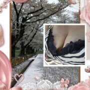 むつみ(横手) おはようございます🌸 奥さんの香り