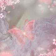 むつみ(横手) 桜…又…来年ねぇ🌸﹏𓈒𓂂𓏸 奥さんの香り