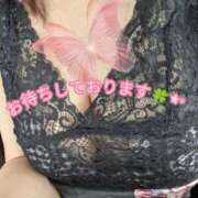 ヒメ日記 2026/08/24 08:51 投稿 むつみ(横手) 奥さんの香り
