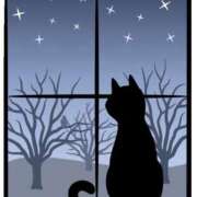 ヒメ日記 2025/02/07 22:30 投稿 みなこ ギン妻パラダイス 和歌山店