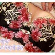 ヒメ日記 2025/02/10 10:01 投稿 みなこ ギン妻パラダイス 和歌山店