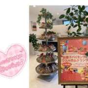 ヒメ日記 2025/02/20 23:41 投稿 みなこ ギン妻パラダイス 和歌山店