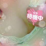 ヒメ日記 2025/02/27 12:01 投稿 みなこ ギン妻パラダイス 和歌山店