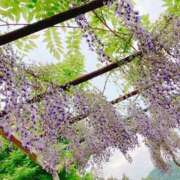 ヒメ日記 2025/04/25 13:46 投稿 みなこ ギン妻パラダイス 和歌山店