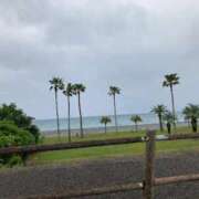 ヒメ日記 2025/05/06 19:01 投稿 みなこ ギン妻パラダイス 和歌山店