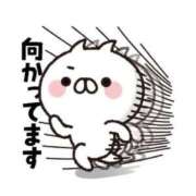 ヒメ日記 2025/05/17 10:20 投稿 みなこ ギン妻パラダイス 和歌山店