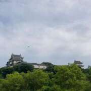 ヒメ日記 2025/06/13 05:25 投稿 みなこ ギン妻パラダイス 和歌山店