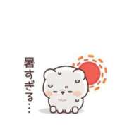 ヒメ日記 2025/07/10 15:18 投稿 みなこ ギン妻パラダイス 和歌山店