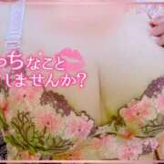 ヒメ日記 2025/10/29 18:25 投稿 みなこ ギン妻パラダイス 和歌山店