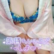 ヒメ日記 2025/12/28 14:32 投稿 みなこ ギン妻パラダイス 和歌山店