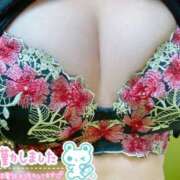 ヒメ日記 2026/02/28 12:42 投稿 みなこ ギン妻パラダイス 和歌山店