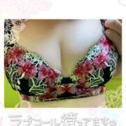 ヒメ日記 2026/03/04 12:55 投稿 みなこ ギン妻パラダイス 和歌山店