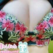 ヒメ日記 2026/04/11 12:07 投稿 みなこ ギン妻パラダイス 和歌山店