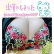ヒメ日記 2026/07/17 11:52 投稿 みなこ ギン妻パラダイス 和歌山店