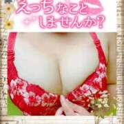 ヒメ日記 2026/08/14 11:52 投稿 みなこ ギン妻パラダイス 和歌山店