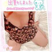 ヒメ日記 2026/08/15 11:50 投稿 みなこ ギン妻パラダイス 和歌山店