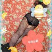 ヒメ日記 2025/04/09 15:41 投稿 別所　さりな エテルナ京都