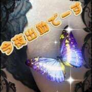 ヒメ日記 2025/05/31 19:41 投稿 別所　さりな エテルナ京都