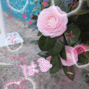 ヒメ日記 2025/04/10 09:02 投稿 らむ 艶熟妻 京都店