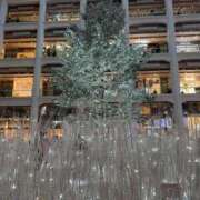 ヒメ日記 2025/12/08 23:55 投稿 ももか ナチュラルプリンセス