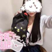 ヒメ日記 2025/03/28 01:30 投稿 なつき みつらん鉄道