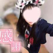 ヒメ日記 2025/04/12 00:30 投稿 なつき みつらん鉄道