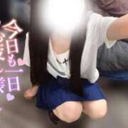 ヒメ日記 2025/08/15 00:30 投稿 なつき みつらん鉄道